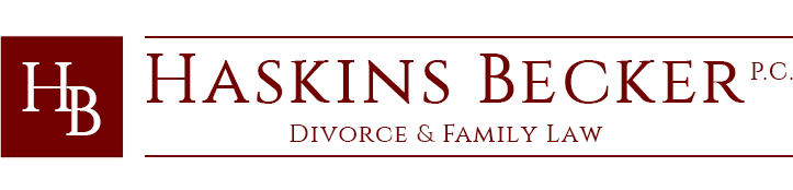 Divorce Lawyer and Family Lawyer